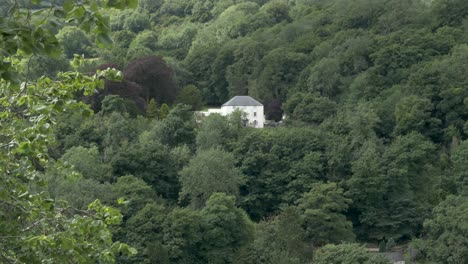 mansion on hill surrounded by vegetation. serene home, secluded.