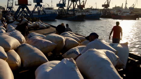 port workers loading cargo bags