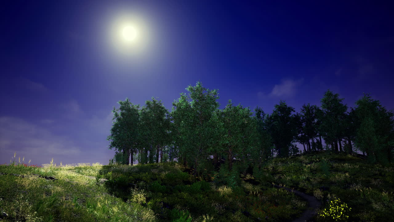 La luce soffusa della luna serale illumina delicatamente un sereno paesaggio boschivo