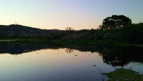 Imágenes-De-Una-Hermosa-Puesta-De-Sol-Con-Una-Bandada-De-Pájaros