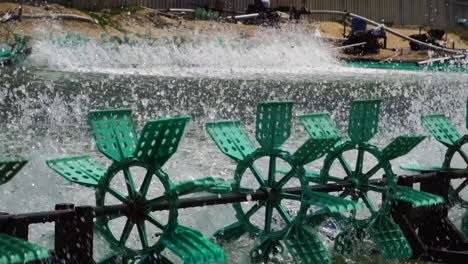 electric aerators with plastic paddlewheels adding air to water at a shrimp farm in vietnam