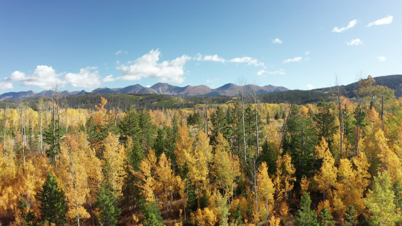 Filmato con drone dei colori autunnali nelle montagne del Colorado settentrionale
