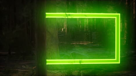 marco rectangular brillante de neón en el bosque nocturno