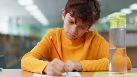 boy studying in the library
