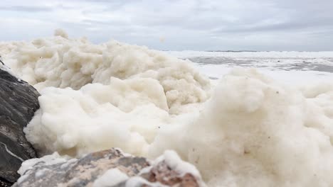 white, foamy discharge from a toxic karenia mikimotoi algal bloom blankets the shoreline in south australia. excellent vision of the environmental impact and potential health risks of algal blooms