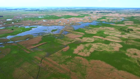 flooded flat, green agricultural areas