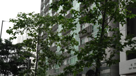 Simple-apartment-with-a-foreground-of-trees-blowing-in-the-wind-in-downtown-Victoria-in-Hong-Kong,-China