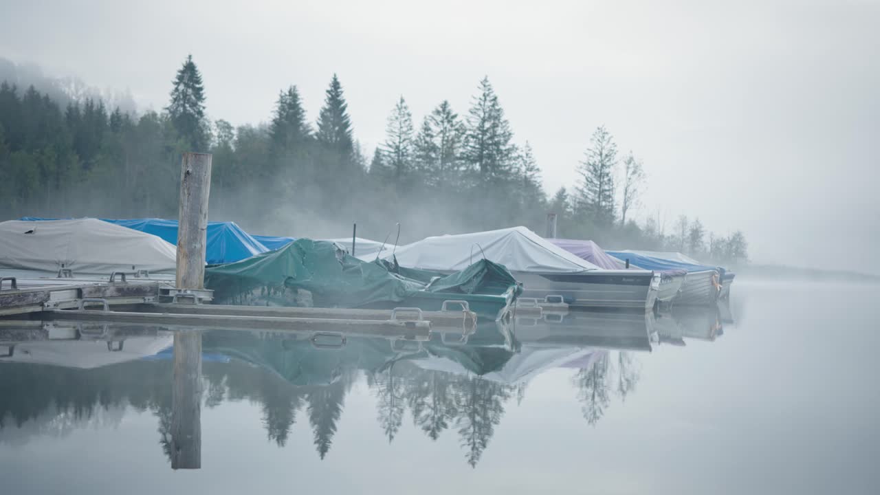 lanchas rápidas atracadas en una mañana de lago brumoso, pinos en segundo plano