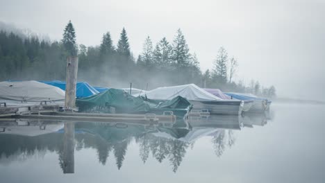 speedboats docked on a foggy lake morning, pine trees in background