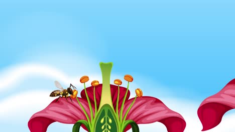 poliniza la flor, la semilla de la abeja crece en brote
