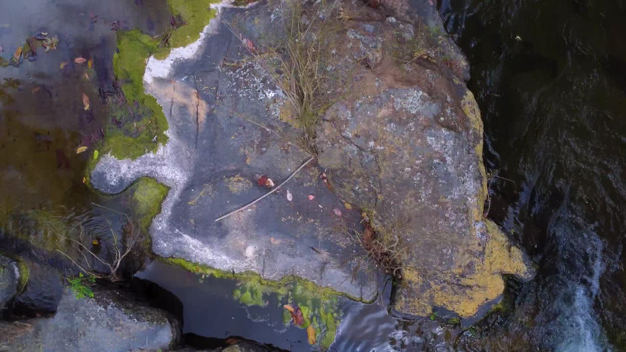 Aerial Waterfall Over Crystal-Clear Pool in Tropical Rainforest