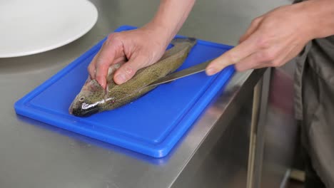 man fillets raw fish with sharp knife on kitchen counter, static medium shot