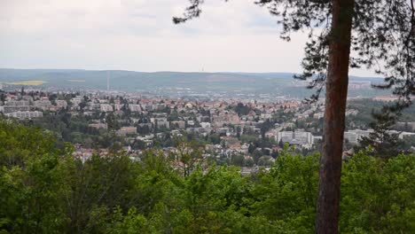view over city trees in foreground