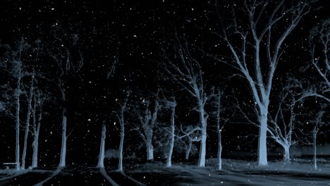 dark winter night background