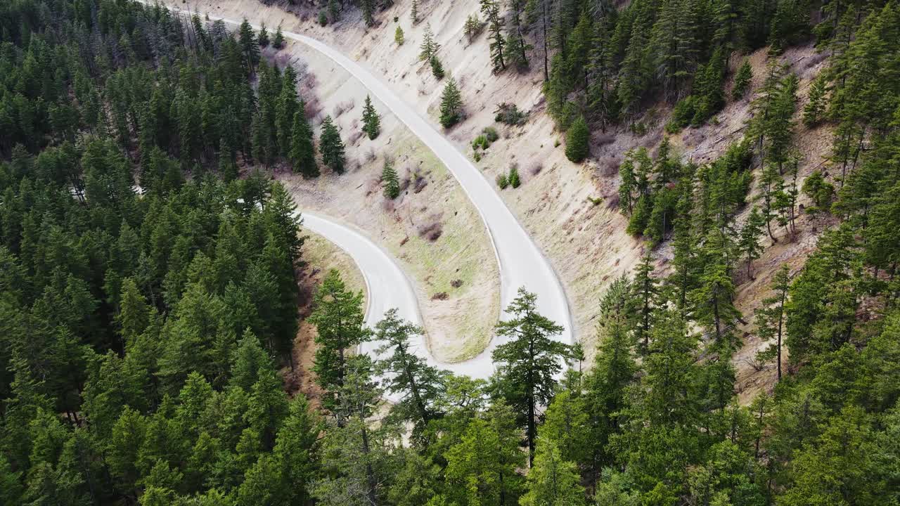 vista aérea del camino curvo a través del bosque en columbia británica, canadá