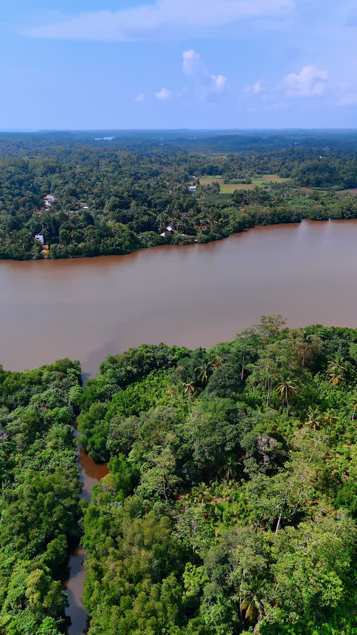 Lush greenery surrounding the wavy river with brown water. Some rare roofs can be seen among the woods on the other bank of the waterscape. Top view. Vertical video.