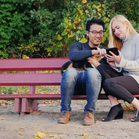 una pareja joven descansa en el parque y usa una tableta