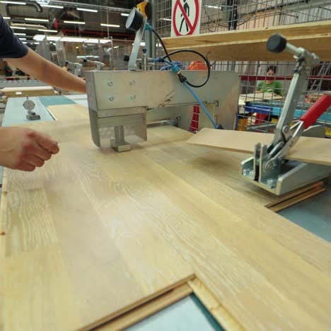 manufacturing of a parquet board. automated machinery equipment.