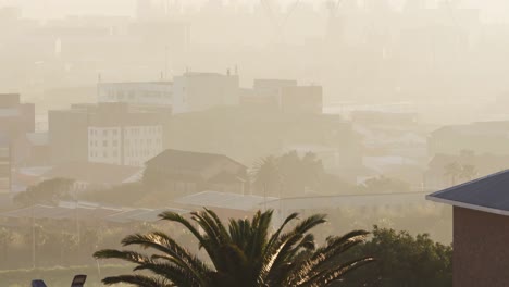 general view of cityscape with multiple buildings, construction site and palm trees in smog