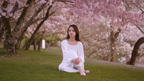 woman sitting under cherry blossom trees