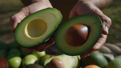 A person holding two halves of a fresh avocado