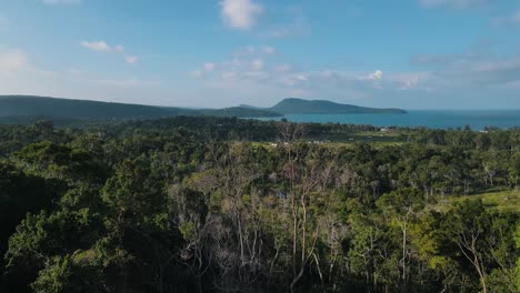 Hermosos-árboles-Altos-En-La-Naturaleza-Verde-Densamente-Arbolada-De-La-Isla-Turística-De-Koh-Rong-Sanloem-En-Camboya-En-Un-Día-Claro-Y-Soleado-Con-Hermosas-Vistas