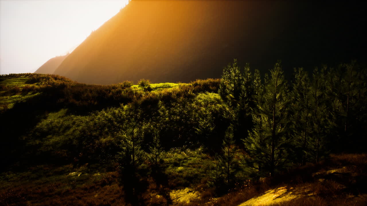 mañana de otoño con niebla en las montañas