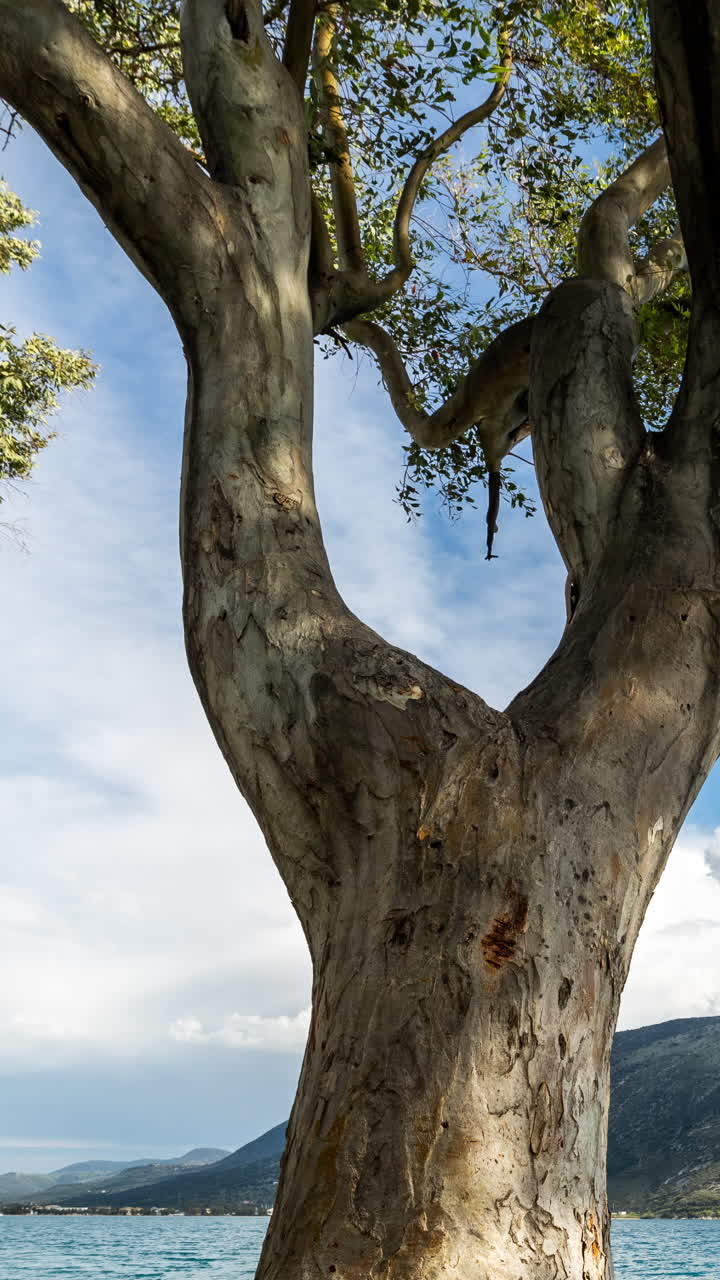 그리스의 야생 해변을 수직으로