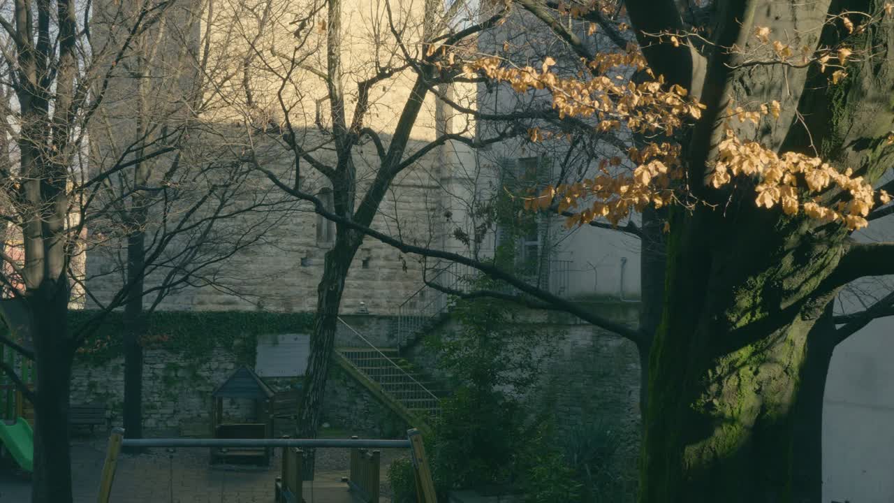 가을의 나무, 노란 잎의 가을