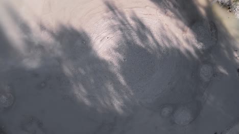 small bubbles and hot steam rising from mud pools in a thermally active region on new zealand's north island