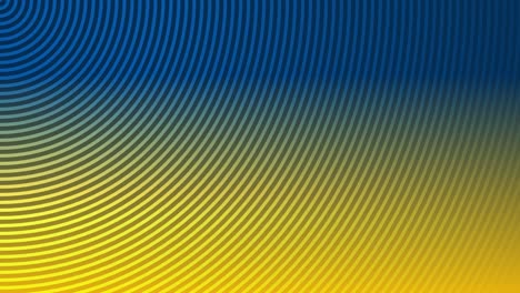 animation background radial wave circular line motion graphics loop pattern design colour visual digital effect optical illusion beautiful 4k blue yellow