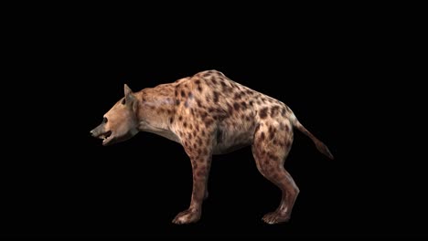 a hyena standing idle on black background with alpha channel included at the end of the video, 3d animation, side view, animated animals, seamless loop animation