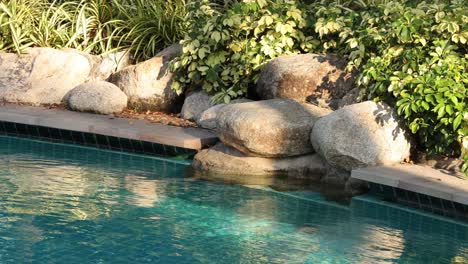 peaceful water feature with rocks and plants