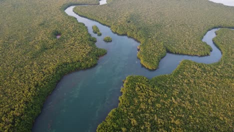 Aerial-tour-over-green-vegetation-and-waterways-of-Nichupte-Lagoon-near-Cancun-hotel-zone,-Mexico