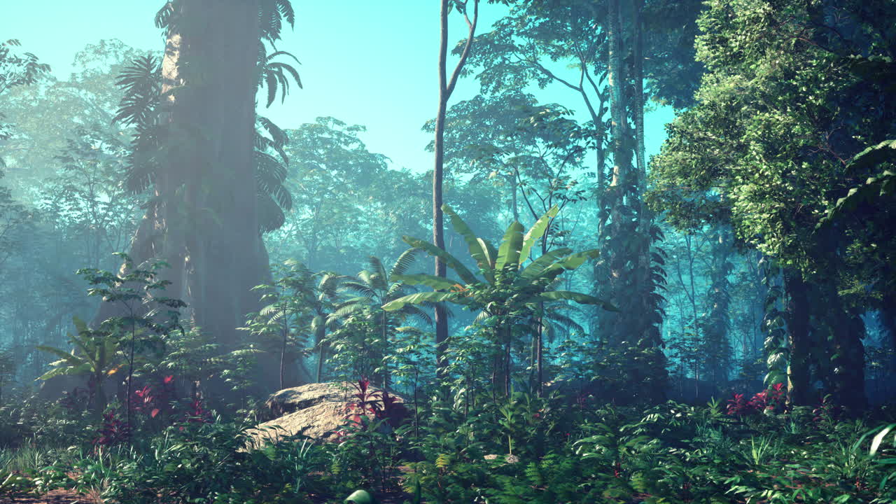 키가 큰 나무, 울불한 잎자루, 그리고 가노피를 통해 빛이 필터링되는 울창한 열대 열대 우림