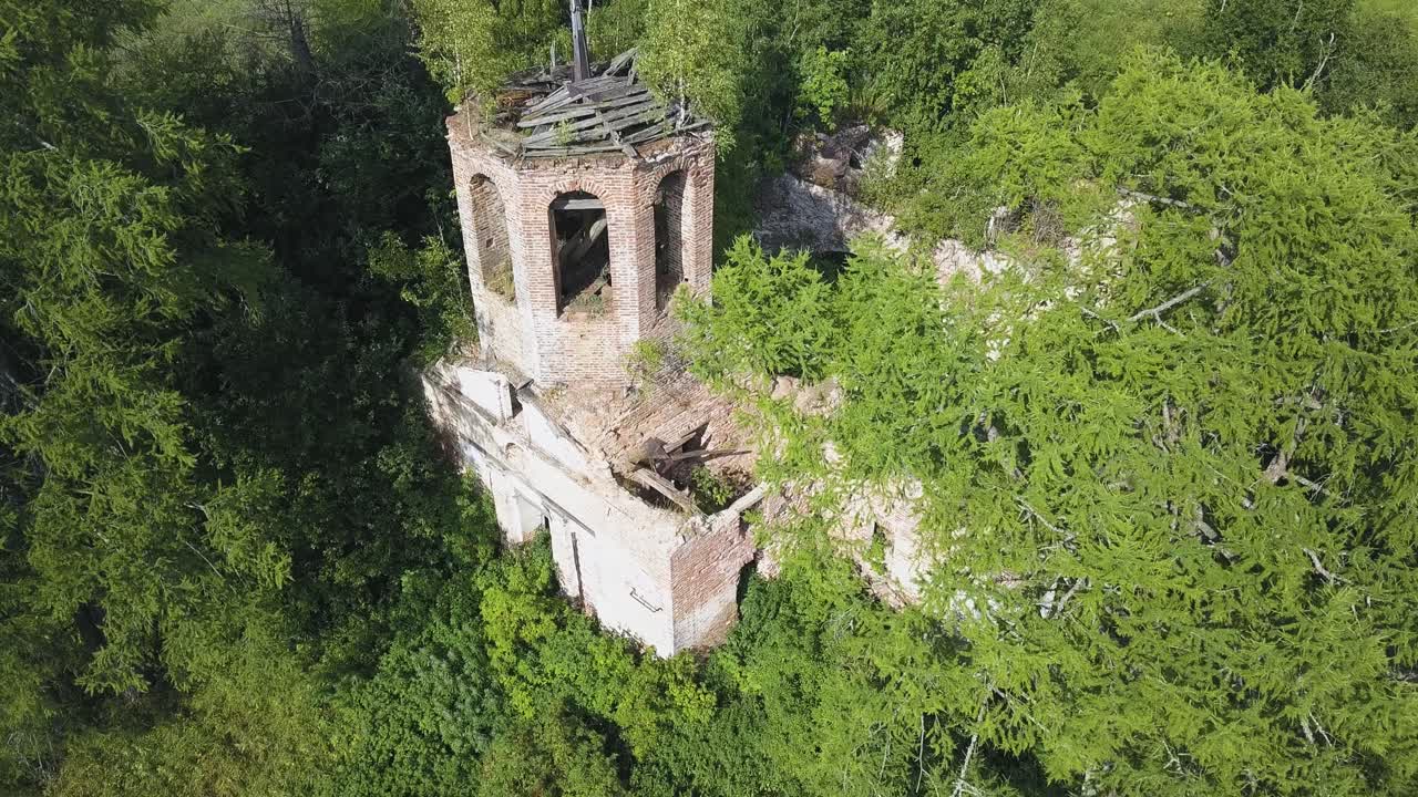 iglesia en ruinas en un bosque
