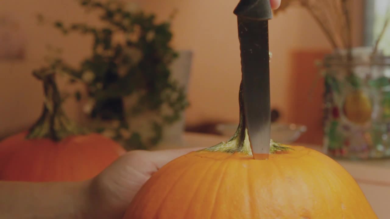 할로윈 시즌을 위한 호박 랜턴을 준비하기 위해 성인 손 절단 호박을 닫습니다.