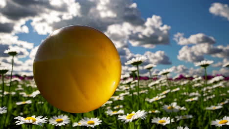 golden egg in a field of flowers