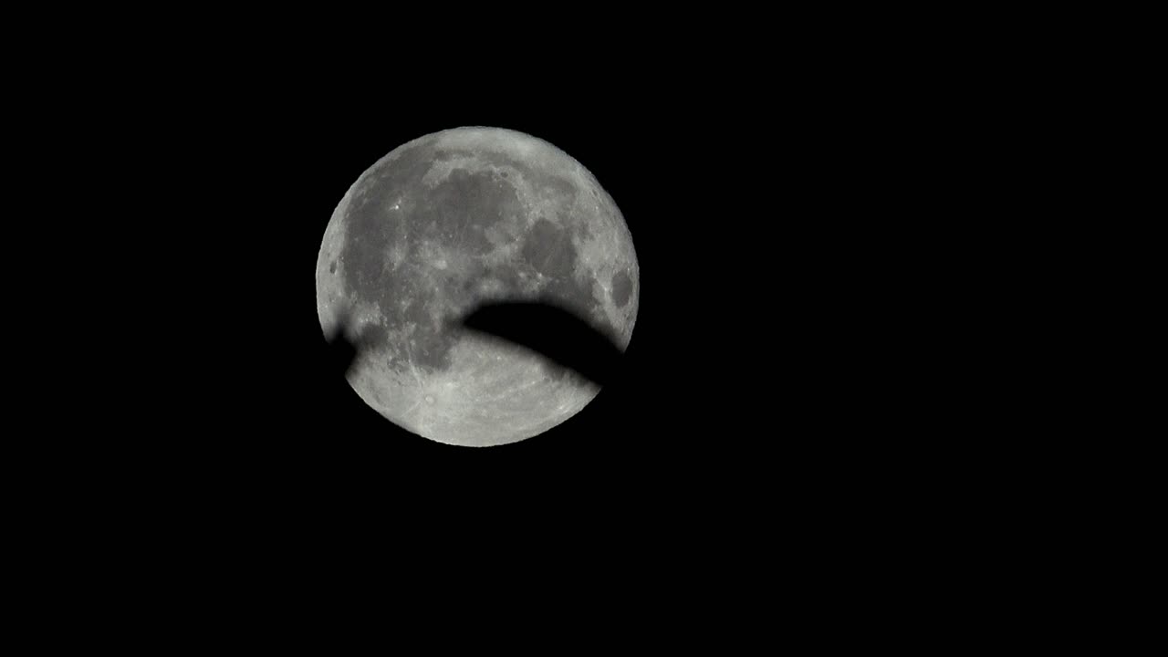 Lua cheia movendo-se pelo céu com folhas em primeiro plano