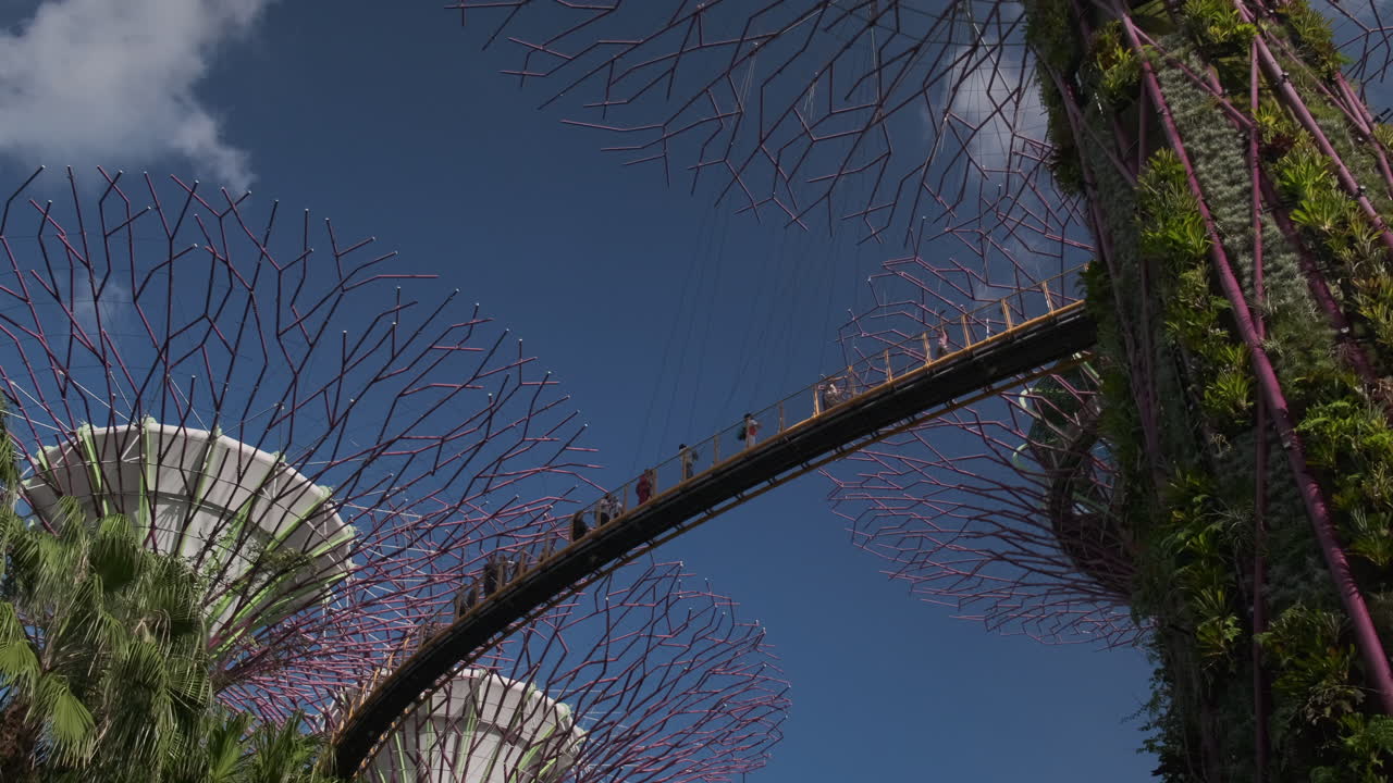 Supertree Grove Skywalk at Gardens by the Bay, Singapore