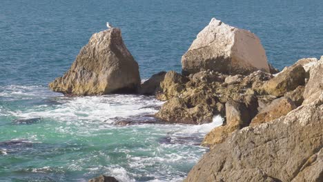 blue waves breaking on rocky coastline, seagull on rock