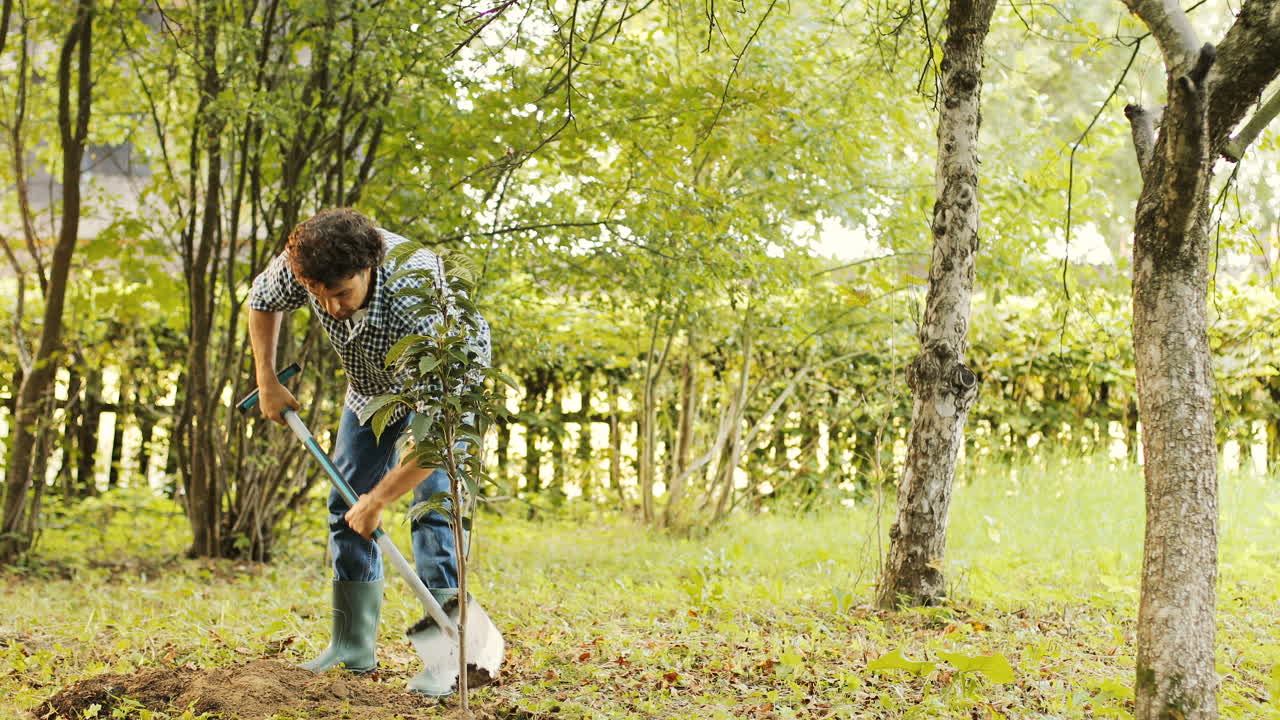 Portrait of a farmer planting a tree. He uses the spade to put soil onto the roots. Blurred background