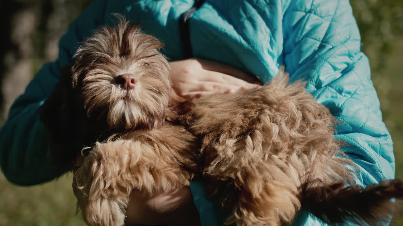 el niño sostiene al cachorro marrón en sus brazos y le da caricias. camina por el parque con su querida mascota