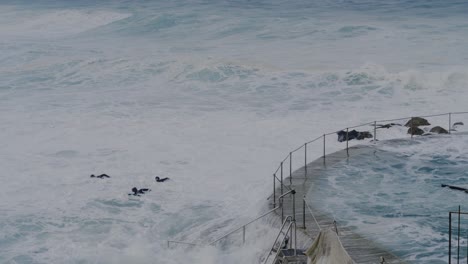 Freunde-Springen-In-Die-Wellen-Und-Schwimmen-Zum-Strand---Bronte-Beach-Sydney-Australien