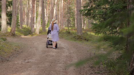 молодая женщина толкает детскую коляску на лесной дороге в фиолетовом повседневном платье