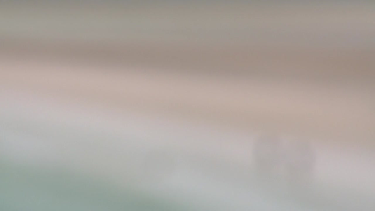 바람 부는 날 루스켄타이어 해변에서 부부가 개와 놀고 있다