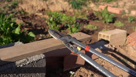 Herramientas-De-Trabajo-Para-El-Campo-Dejado-Cerca-De-Las-Plantas