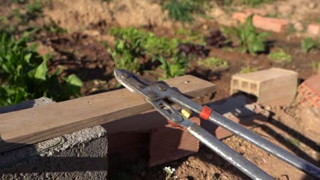 Working tools for the field left close to the plants