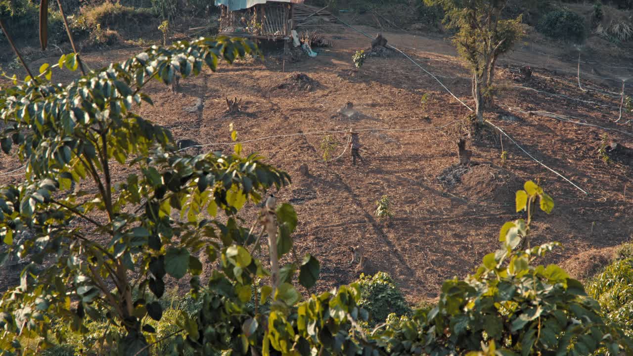Rural Farm Landscape