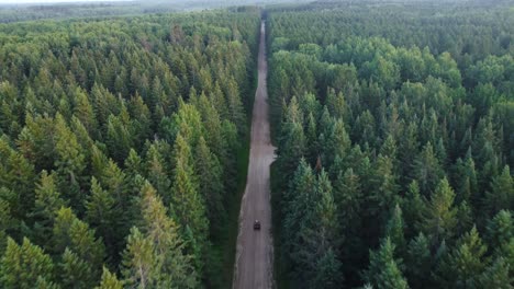 aerial of four-wheeler in forest